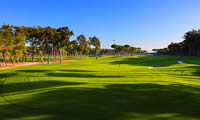 carya golf club
